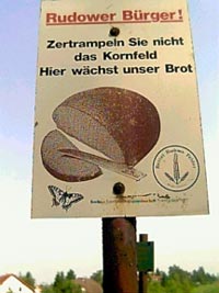 Brotschutz im Kornfeld