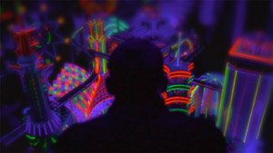 Enter the Void (R: Gaspar Noé)